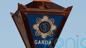 Pensioner dies after attack in Co Donegal