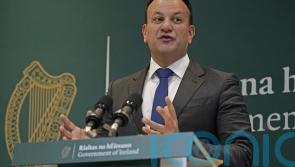 Irish farming is sustainable but it can do more, Leo Varadkar says