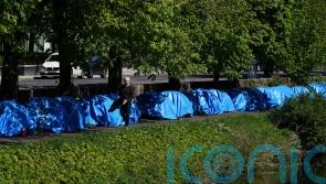 Government must be stronger in dealing with asylum seeker camps – TD