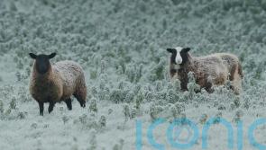 Temperatures set to drop to minus three overnight