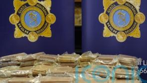 Gardai ‘severely disrupted’ activities of organised crime gang in drugs swoop