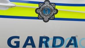 Woman in her 80s dies in Co Roscommon crash