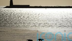 Man in 80s dies in stormy water off south Dublin coast