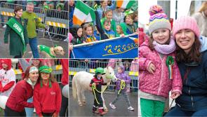 PICTURES | A BIG gallery of colourful and vibrant pictures from Longford's St Patrick's Day Parade 