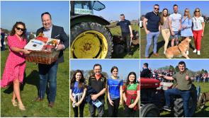 PICTURES | Big gallery of sunny images as Longford ploughing makes spectacular return