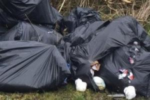 Tipping point! Karma for Longford fly-tipper caught dumping bags of rubbish