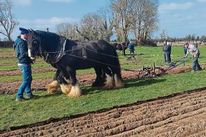 'Milestone event' Longford competitors to fore at 90th Ploughing Championships