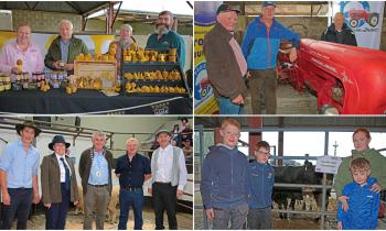 Ballymahon Show