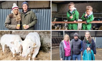 PICTURES | Huge turnout in Longford for much anticipated sale of top class Pedigree livestock