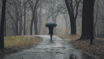 Wet weather predicted