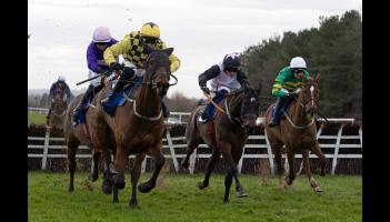 Longford/Westmeath Racing News: Local jockey Movin And Groovin with her first winner