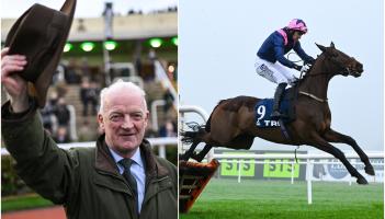 Irish fans rushing to bet on 'dead cert' Willie Mullins Cheltenham accumulator