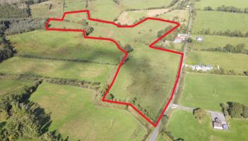 Longford farm featuring 'excellent fattening land' expected to attract much interest at auction