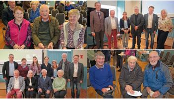 Padraic Colum gathering gallery