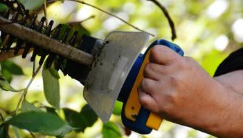 Hedge cutting