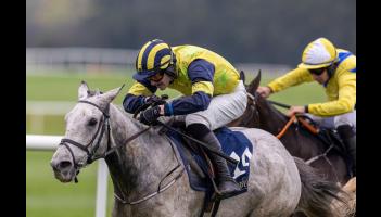 Longford horse trainer Paul Flynn lands a fantastic double at Punchestown