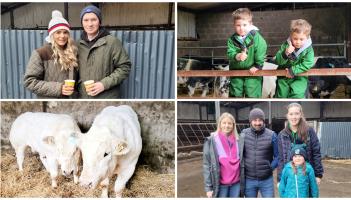 PICTURES | Huge turnout in Longford for much anticipated sale of top class Pedigree livestock