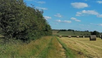 Calling Longford shutterbugs! Hedgerow Ireland's photography competition is now open