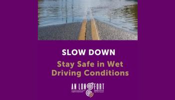 Longford County Council advice 