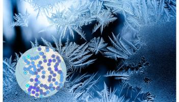 Ten counties hit with dangerous ice warnings as temperatures set to plunge below freezing