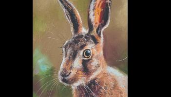 The Art of Friendship exhibition