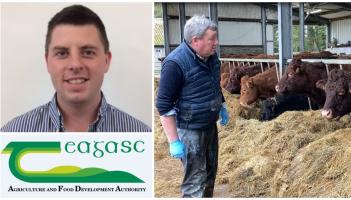 Longford Farming: Getting ready for the calving season