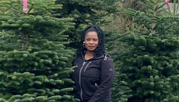 McDowell Family Christmas Trees have adorned sitting rooms of Longford homes for many years