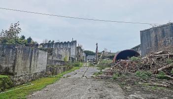 ' A hellhole': Disused Longford piggery has created hell for people who live in the area