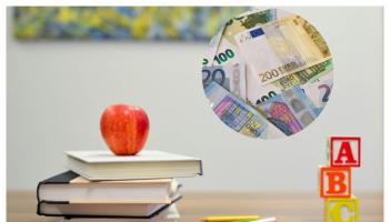 Irish primary school teacher who faked two births got &euro;59,000 in benefits