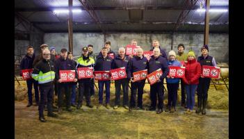 &lsquo;No Dogs Allowed&rsquo;: Longford sheep farmers highlight dangers of uncontrolled dogs 