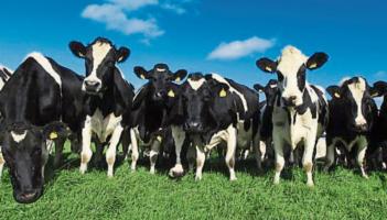 Longford farmers and fishers benefitted from over &euro;40 million in funding throughout 2025