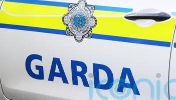 Gardaí are investigating weekend fire bomb attack on Longford house