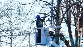 ESB profits down by 10% due to impact of Storm Eowyn