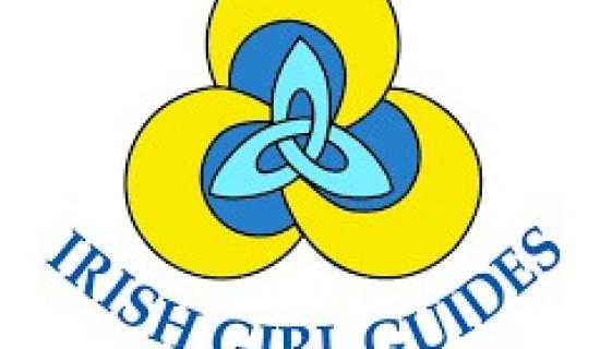 Longford Guides and Brownies urged to parktake in STEPS Engineer Week Challenge