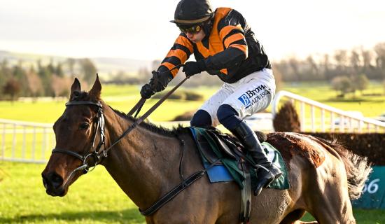 Who won the Aintree Grand National? Punters stunned at 33/1 wins dramatic race