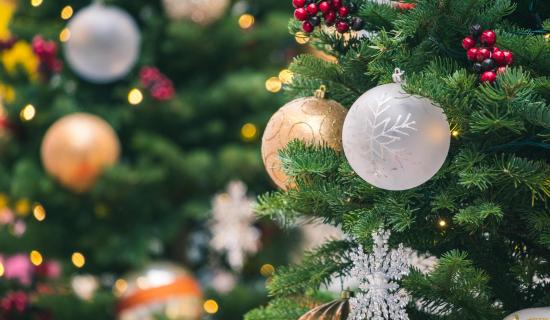 Find out where in Longford you can recycle a real Christmas tree for free!