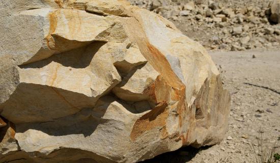 Charity lodge appeal after local planners approve infilling of former Longford quarry