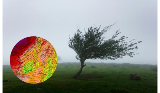 Strong winds set to batter Ireland as wind warnings issued for entire country