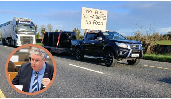 DISGUSTING! Longford MEP slates decision to send army tanks to remove farmers from side of road