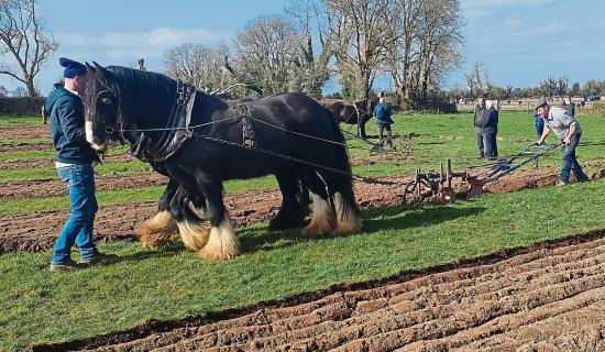'Milestone event' Longford competitors to fore at 90th Ploughing Championships