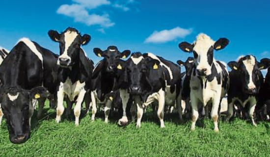 Longford farmers and fishers benefitted from over &euro;40 million in funding throughout 2025