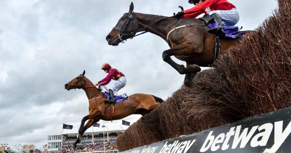Road to redemption for Irish Gold Cup favourite and ...