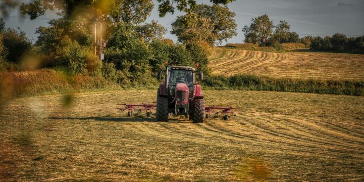 Pressure on Longford farmers sparks debate over farm inspections