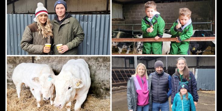 PICTURES | Huge turnout in Longford for much anticipated sale of top class Pedigree livestock