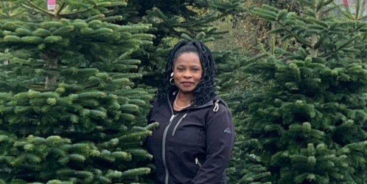 McDowell Family Christmas Trees have adorned sitting rooms of Longford homes for many years