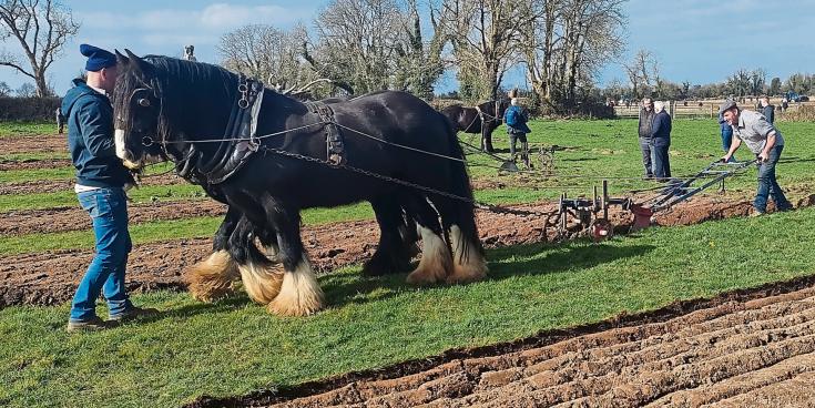 'Milestone event' Longford competitors to fore at 90th Ploughing Championships