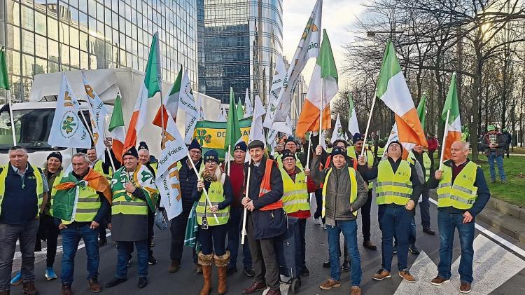 Longford farmers &lsquo;betrayed&rsquo; by implementation of EU-Mercosur deal despite vote to delay