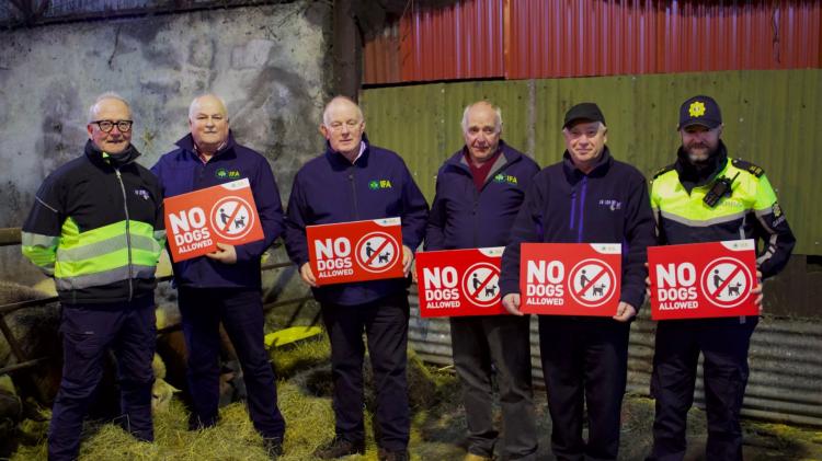 No dogs allowed campaign