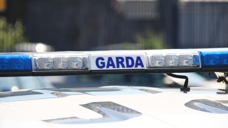 Banned Longford driver was picking up food for his wife when garda&iacute; stopped him at checkpoint