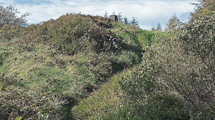 Historic Longford site set for its first ceremonial gathering in more than 4,000 years